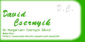 david csernyik business card